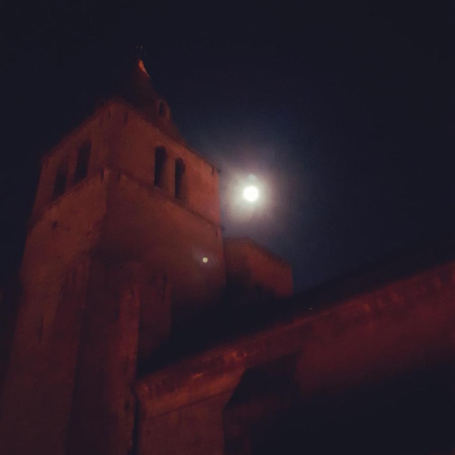Les Mirabelles Chambres D'Hotes Sisteron Exterior photo